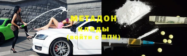 прущие грибы Анжеро-Судженск