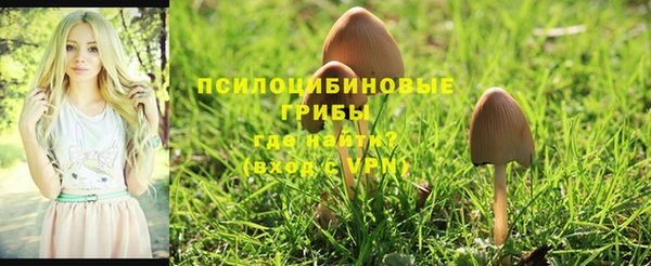 СК Аркадак