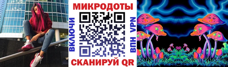 Псилоцибиновые грибы Psilocybe Дмитров